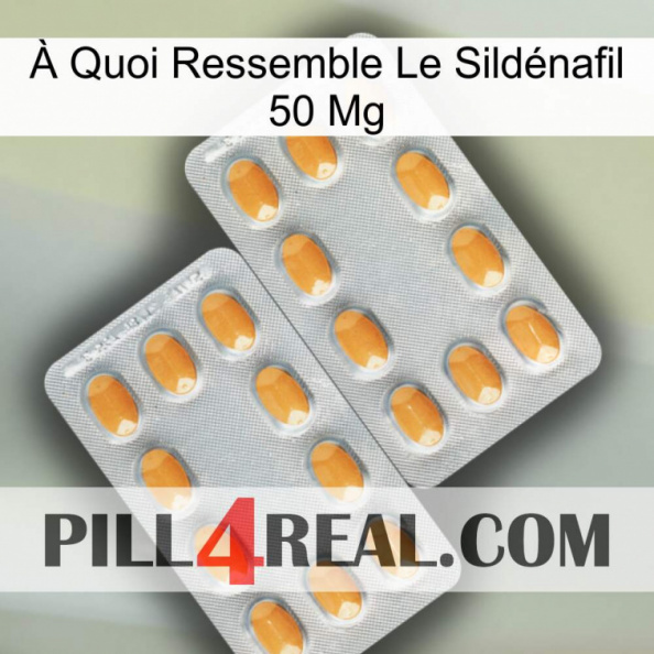 À Quoi Ressemble Le Sildénafil 50 Mg cialis4.jpg